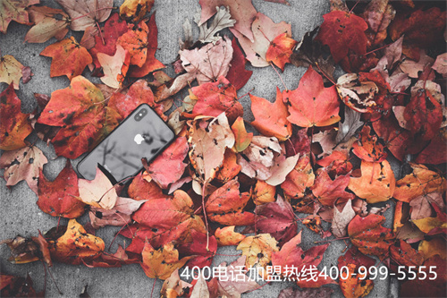 (400電話辦理流程是什么)(400電話辦理流程)