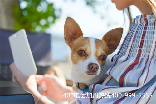 (400電話功能詳解)(城市便捷400電話)