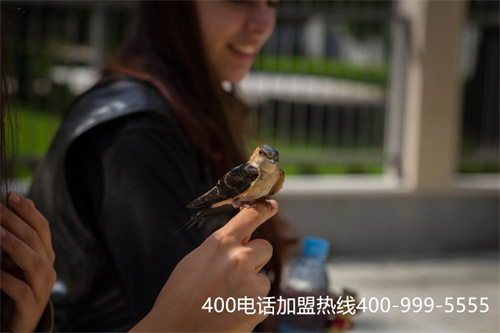 (400電話哪家)(400電話開通多少錢？)